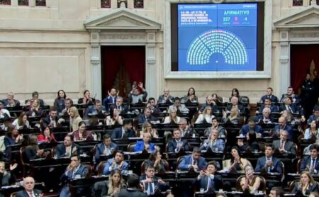 El Gobierno consiguió aprobar su proyecto de discapacidad con el respaldo del peronismo imagen-8