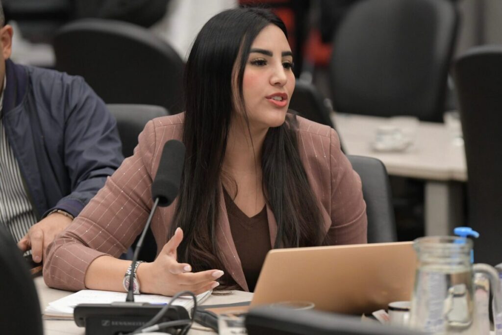 Obtuvo dictamen el proyecto de Argentina Federal para facilitar el acceso de cooperativas al régimen MiPyME imagen-5