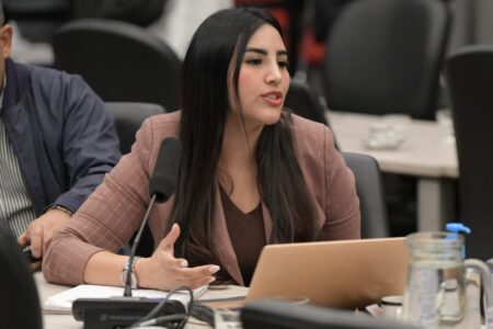 Obtuvo dictamen el proyecto de Argentina Federal para facilitar el acceso de cooperativas al régimen MiPyME imagen-11