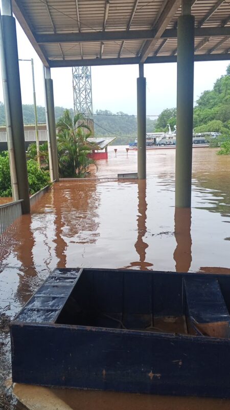 Relevan zonas inundables y mantienen controles preventivos ante las intensas lluvias en Misiones imagen-16