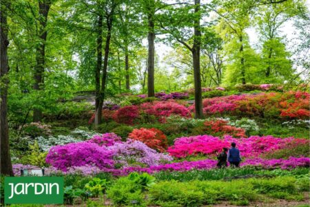 Los siete jardines botánicos que conservan el futuro de las plantas del planeta Los siete jardines botánicos que conservan el futuro de las plantas del planeta imagen-8