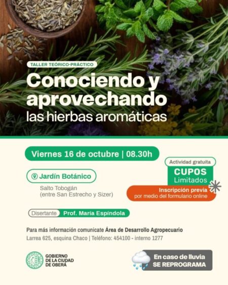 Taller teórico-práctico sobre plantas aromáticas en el Jardín Botánico imagen-71