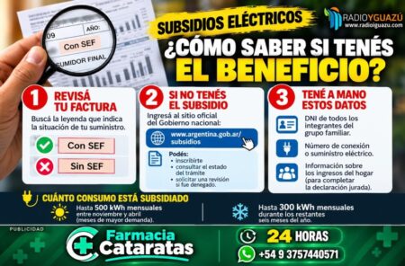 SUBSIDIOS ELÉCTRICOS EN MISIONES: CÓMO SABER SI ESTÁS INSCRIPTO Y QUÉ HACER SI NO TENÉS EL BENEFICIO imagen-12