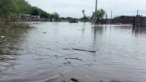 Fenómeno El Niño | Crecida del río Uruguay: más de 300 personas fueron desplazadas en la frontera de Rio Grande do Sul imagen-8