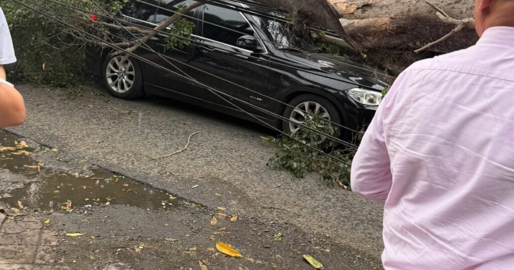 Tremendo accidente de un ex San Lorenzo y Banfield en Colombia imagen-43