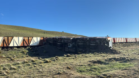 Santa Cruz: descarriló un tren con 600 toneladas de carbón y analizan un posible sabotaje imagen-9