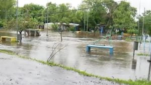 Drama en la localidad chaqueña de Tres Bocas: el desborde de un arroyo inundó las casas y los vecinos usan canoas para desplazarse imagen-22