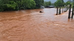 El Niño | Las lluvias de los últimos días en Misiones casi duplicaron el promedio habitual y dejaron acumulados de más de 500 milímetros imagen-11