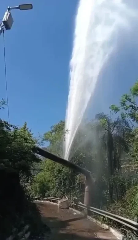 Una comadreja provocó un corte de energía y terminó dañando una cañería del IMAS en Iguazú imagen-6