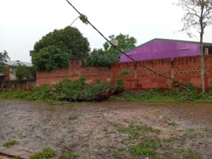 Fuertes vientos e intensas lluvias llegaron a Misiones y sigue la alerta naranja imagen-1