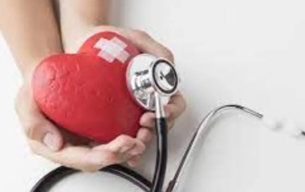 Misiones registró la tasa más alta de mortalidad por enfermedades cardiovasculares del país Misiones registró la tasa más alta de mortalidad por enfermedades cardiovasculares del país imagen-5
