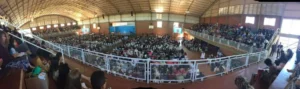 Este fin de semana más de 1700 testigos de Jehová se reunirán en Wanda imagen-2