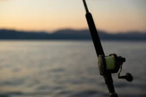 Misiones inicia la veda de pesca en el Paraná y el Iguazú el 2 de noviembre imagen-1
