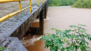 Pasos fronterizos habilitados pese a las lluvias: San Pedro, El Soberbio y Alba Posse imagen-1