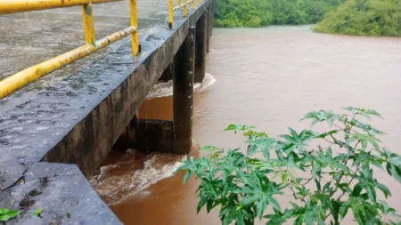 Pasos fronterizos habilitados pese a las lluvias: San Pedro, El Soberbio y Alba Posse imagen-26