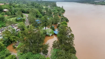 La crecida del Paraná afecta las costas de Puerto Rico y San Ignacio imagen-12
