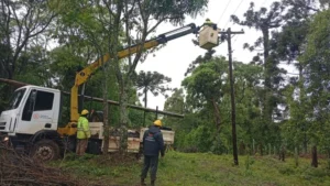 Refuerzan cuadrillas para reparar la red eléctrica dañada Irigoyen y Dos Hermanas imagen-2
