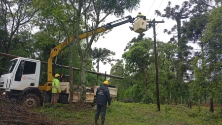 Refuerzan cuadrillas para reparar la red eléctrica dañada Irigoyen y Dos Hermanas imagen-6