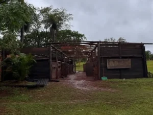 El fuerte temporal destruyó las caballerizas del Centro de Equinoterapia de Misiones imagen-1