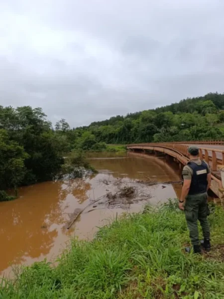 Vialidad Nacional monitorea los puentes sobre la Ruta Nacional 12 ante el avance del Paraná y sus arroyos imagen-15