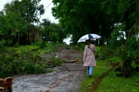 La tormenta provocó caída de árboles, postes y cortes de luz en Garupá imagen-19