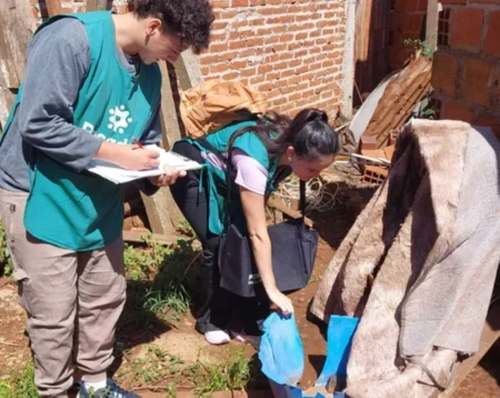Hallaron larvas de Aedes aegypti en siete de cada 100 casas de Posadas imagen-129