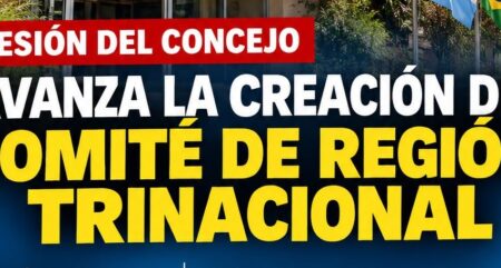EL CONCEJO DE IGUAZÚ DEBATE MAÑANA LA CREACIÓN DE UN COMITÉ DE REGIÓN TRINACIONAL imagen-129