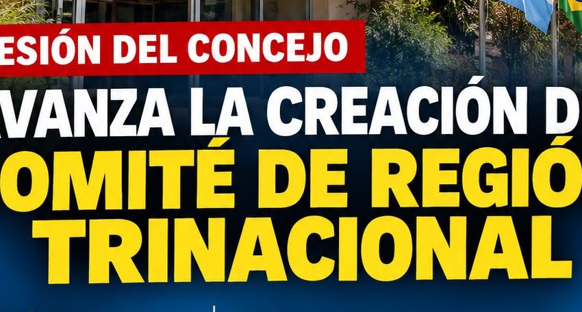 EL CONCEJO DE IGUAZÚ DEBATE MAÑANA LA CREACIÓN DE UN COMITÉ DE REGIÓN TRINACIONAL imagen-72