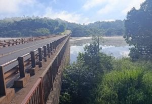 Habilitaron totalmente el puente Paranaí Guazú y se normalizó el tránsito sobre la Ruta Nacional 12 imagen-7
