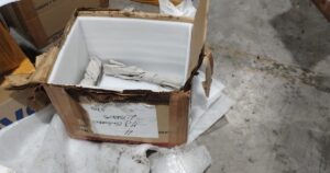 Se inundó la nueva sede del Museo del Cine y tuvieron que rescatar los materiales a las corridas imagen-3