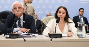"Te estás cagando de risa, nena": el exabrupto del jefe del bloque K en Diputados contra una funcionaria de Milei que defendió la Ley Malvinas imagen-4