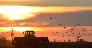 Los costos del agro argentino se acercan a los de sus competidores, pero las retenciones siguen pesando imagen-2